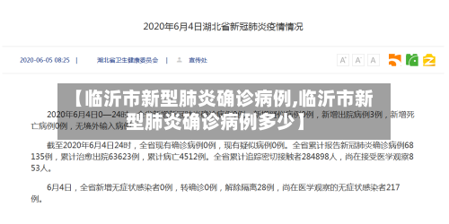 【临沂市新型肺炎确诊病例,临沂市新型肺炎确诊病例多少】