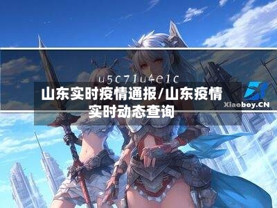 山东实时疫情通报/山东疫情实时动态查询-第2张图片