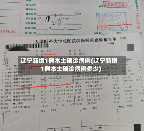 辽宁新增1例本土确诊病例(辽宁新增1例本土确诊病例多少)