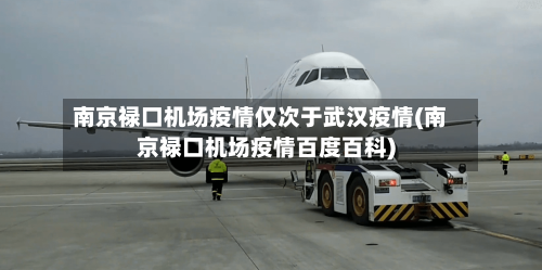 南京禄口机场疫情仅次于武汉疫情(南京禄口机场疫情百度百科)