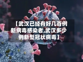【武汉已经有好几百例新病毒感染者,武汉多少例新型冠状病毒】