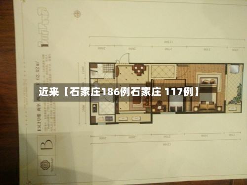 近来【石家庄186例石家庄 117例】