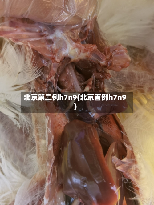 北京第二例h7n9(北京首例h7n9)-第3张图片