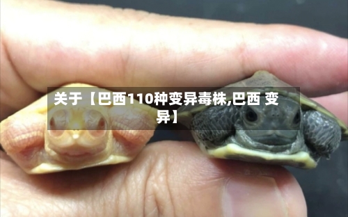 关于【巴西110种变异毒株,巴西 变异】-第2张图片