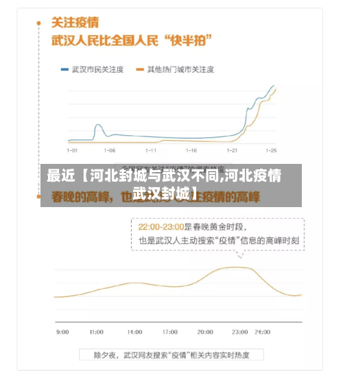 最近【河北封城与武汉不同,河北疫情武汉封城】-第3张图片