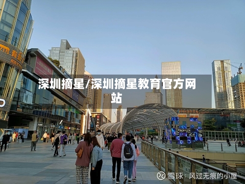 深圳摘星/深圳摘星教育官方网站