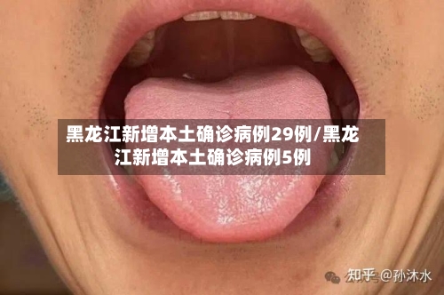 黑龙江新增本土确诊病例29例/黑龙江新增本土确诊病例5例