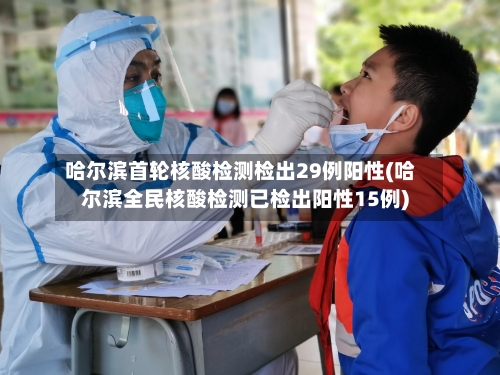 哈尔滨首轮核酸检测检出29例阳性(哈尔滨全民核酸检测已检出阳性15例)-第2张图片