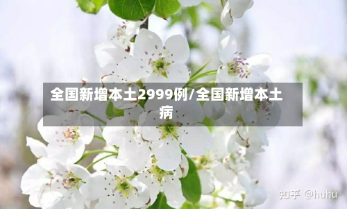 全国新增本土2999例/全国新增本土病-第2张图片