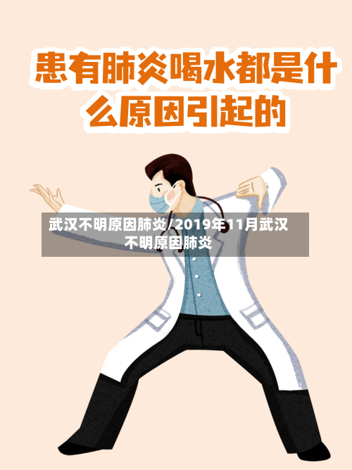 武汉不明原因肺炎/2019年11月武汉不明原因肺炎