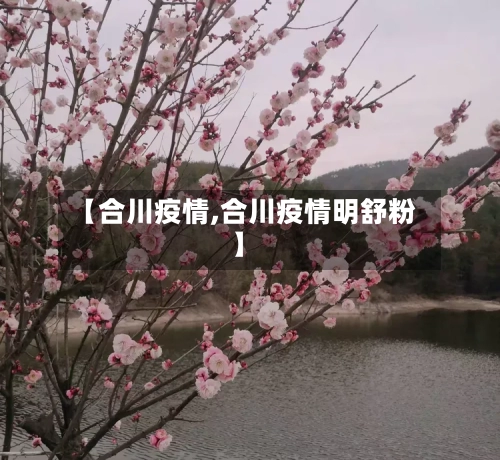【合川疫情,合川疫情明舒粉】
