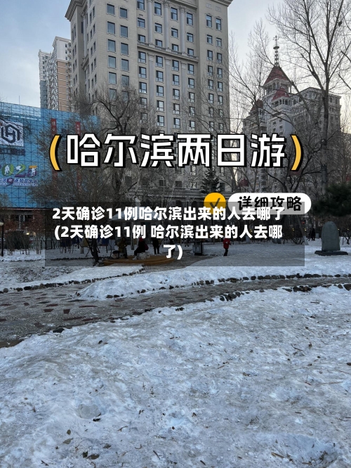 2天确诊11例哈尔滨出来的人去哪了(2天确诊11例 哈尔滨出来的人去哪了)-第2张图片