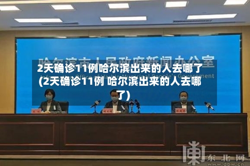 2天确诊11例哈尔滨出来的人去哪了(2天确诊11例 哈尔滨出来的人去哪了)