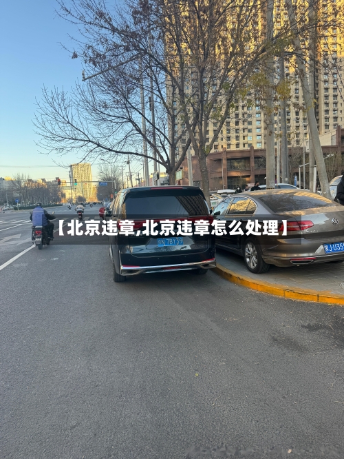 【北京违章,北京违章怎么处理】
