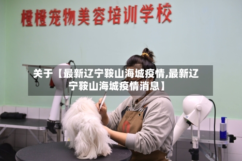 关于【最新辽宁鞍山海城疫情,最新辽宁鞍山海城疫情消息】