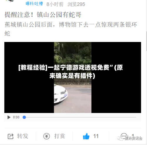 [教程经验]一起宁德游戏透视免费”(原来确实是有插件)-第3张图片