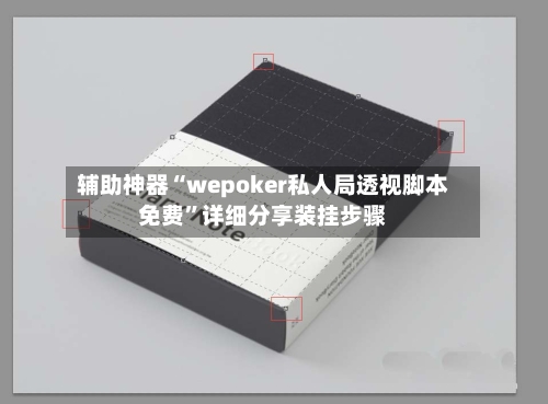 辅助神器“wepoker私人局透视脚本免费”详细分享装挂步骤-第2张图片