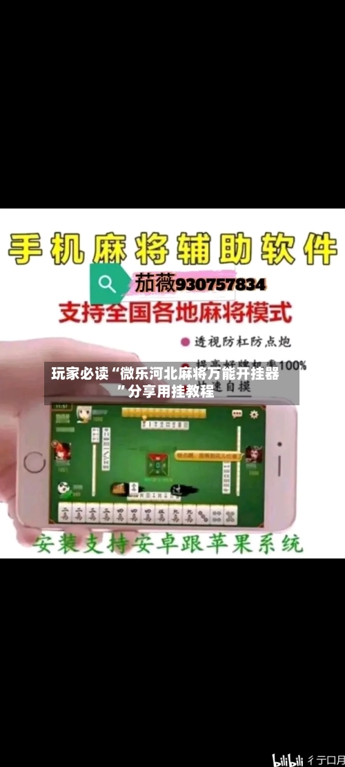 玩家必读“微乐河北麻将万能开挂器	”分享用挂教程-第3张图片