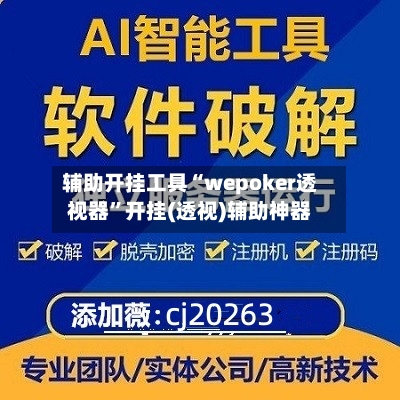 辅助开挂工具“wepoker透视器”开挂(透视)辅助神器-第2张图片
