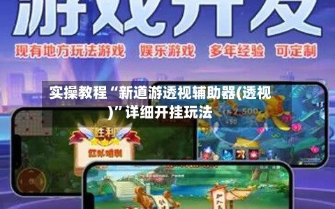 实操教程“新道游透视辅助器(透视)	”详细开挂玩法-第2张图片