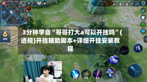 3分钟学会“哥哥打大a可以开挂吗”(透视)开挂辅助脚本+详细开挂安装教程-第2张图片