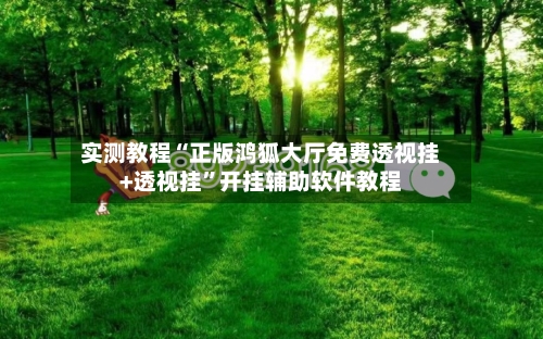 实测教程“正版鸿狐大厅免费透视挂+透视挂”开挂辅助软件教程-第2张图片