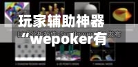 玩家辅助神器“wepoker有透视挂吗”最新透视辅助软件详细教程官方版下载-第2张图片