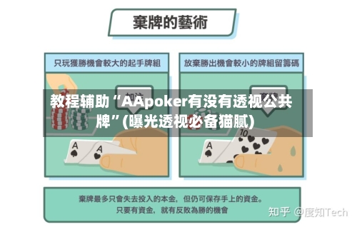 教程辅助“AApoker有没有透视公共牌”(曝光透视必备猫腻)-第3张图片