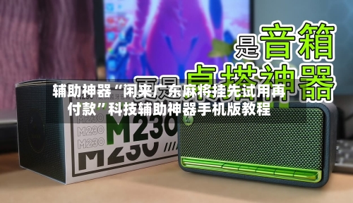辅助神器“闲来广东麻将挂先试用再付款”科技辅助神器手机版教程-第2张图片