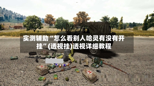 实测辅助“怎么看别人哈灵有没有开挂”(透视挂)透视详细教程