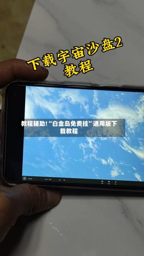 教程辅助!“白金岛免费挂”通用版下载教程-第3张图片