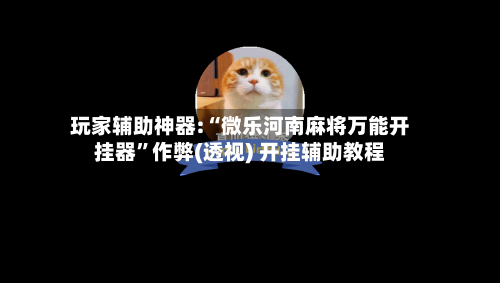 玩家辅助神器:“微乐河南麻将万能开挂器”作弊(透视) 开挂辅助教程-第2张图片