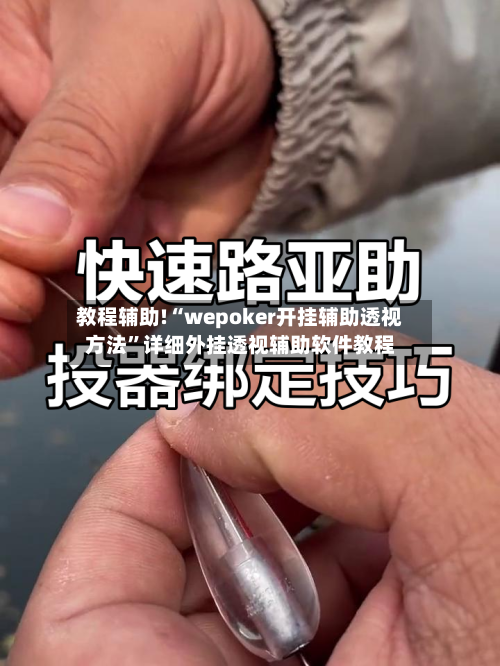 教程辅助!“wepoker开挂辅助透视方法”详细外挂透视辅助软件教程-第2张图片