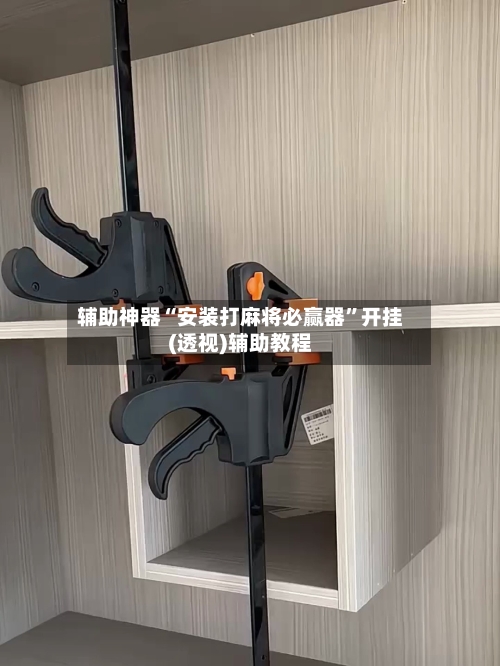 辅助神器“安装打麻将必赢器”开挂(透视)辅助教程-第2张图片