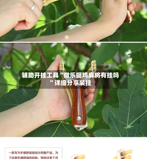 辅助开挂工具“微乐捉鸡麻将有挂吗	”详细分享装挂-第2张图片