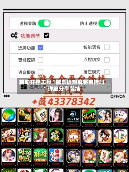 辅助开挂工具“微乐捉鸡麻将有挂吗”详细分享装挂-第3张图片