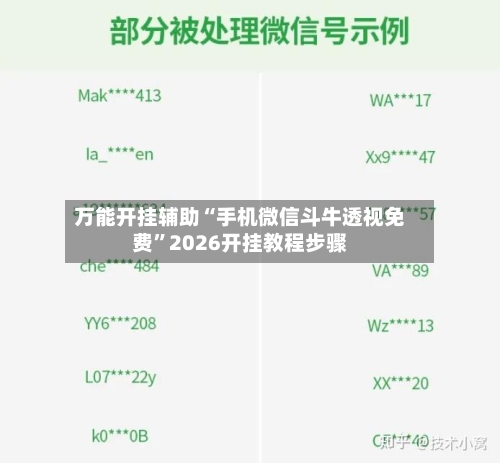 万能开挂辅助“手机微信斗牛透视免费”2026开挂教程步骤-第3张图片