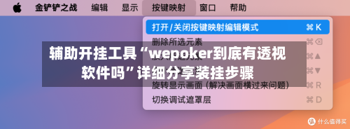 辅助开挂工具“wepoker到底有透视软件吗	”详细分享装挂步骤-第2张图片