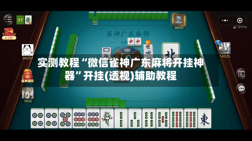 实测教程“微信雀神广东麻将开挂神器”开挂(透视)辅助教程