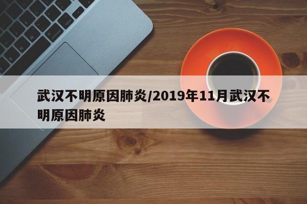 武汉不明原因肺炎/2019年11月武汉不明原因肺炎